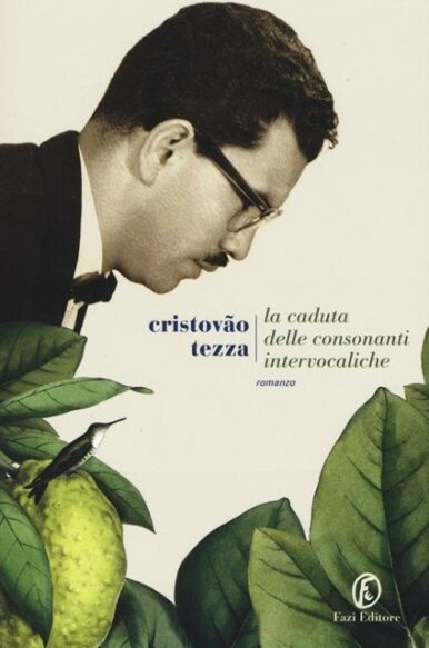 Cristovão Tezza, “La caduta delle consonanti intervocaliche”, Fazi (2016)